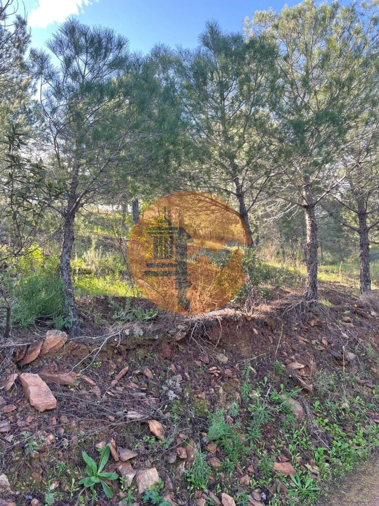 Terreno para Venda em Odeleite Foto 1