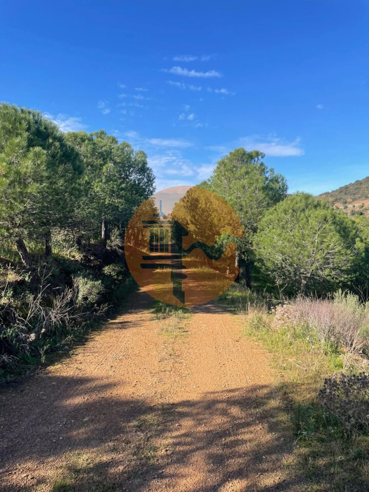 Terreno para Venda em Odeleite Foto 3