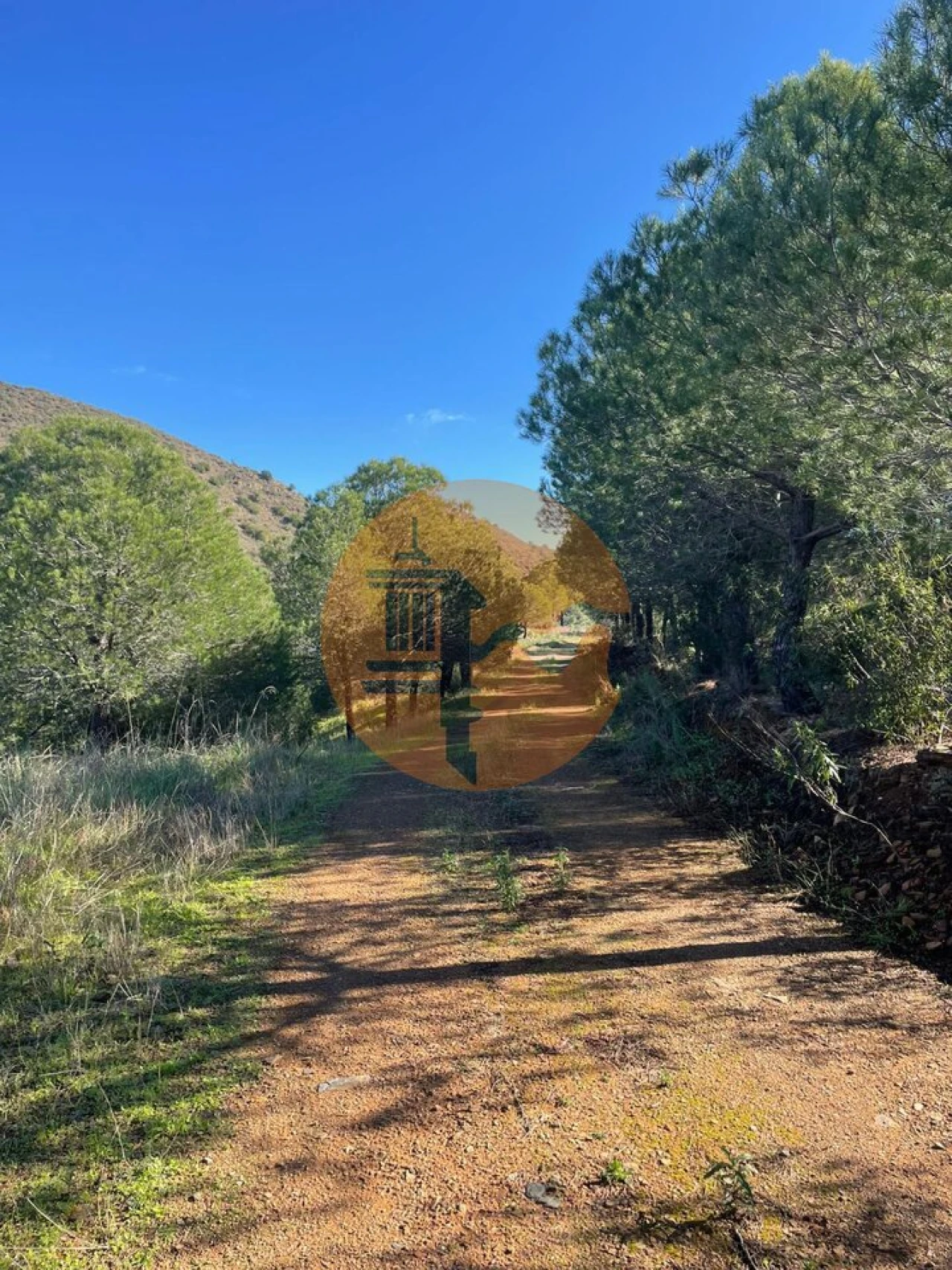 Terreno para Venda em Odeleite Foto 4