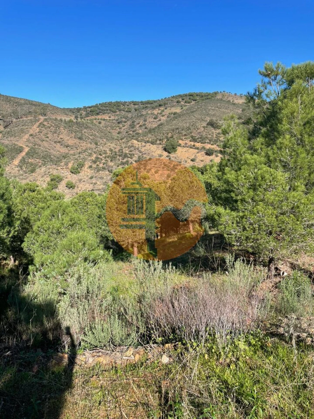 Terreno para Venda em Odeleite Foto 10