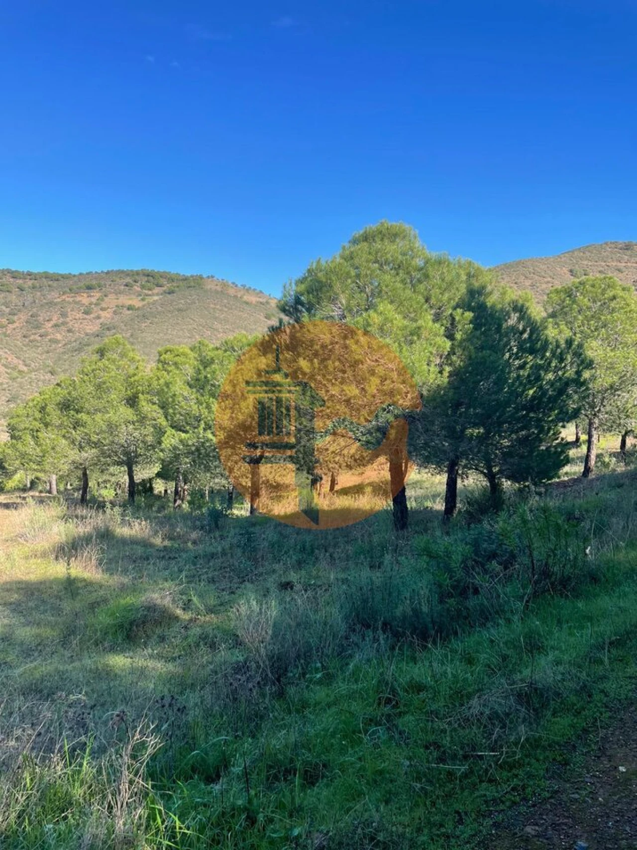 Terreno para Venda em Odeleite Foto 20