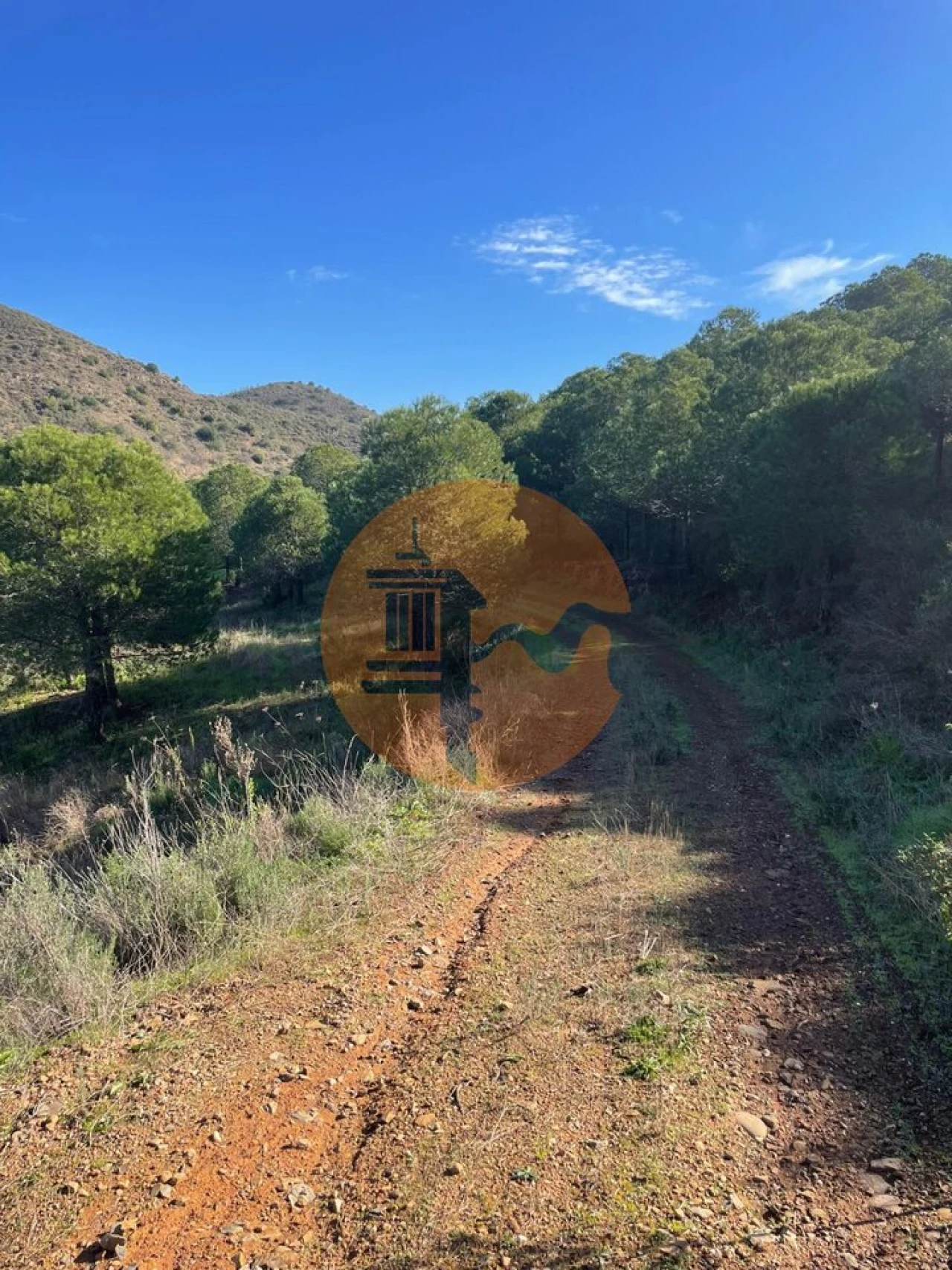 Terreno para Venda em Odeleite Foto 25