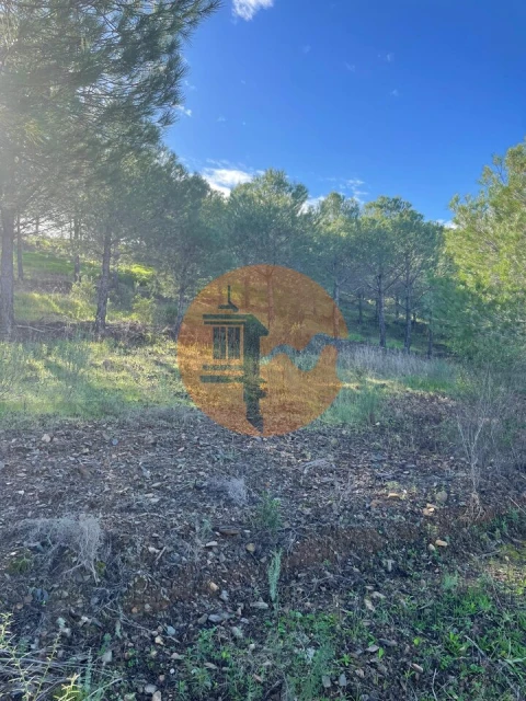 Terreno para Venda em Odeleite