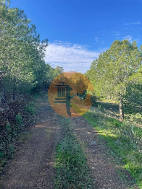 Terreno para Venda em Odeleite