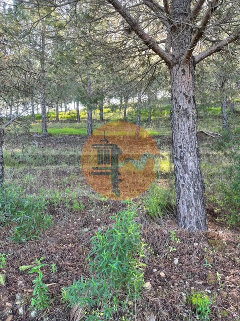 Terreno para Venda em Odeleite