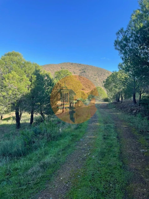 Terreno para Venda em Odeleite