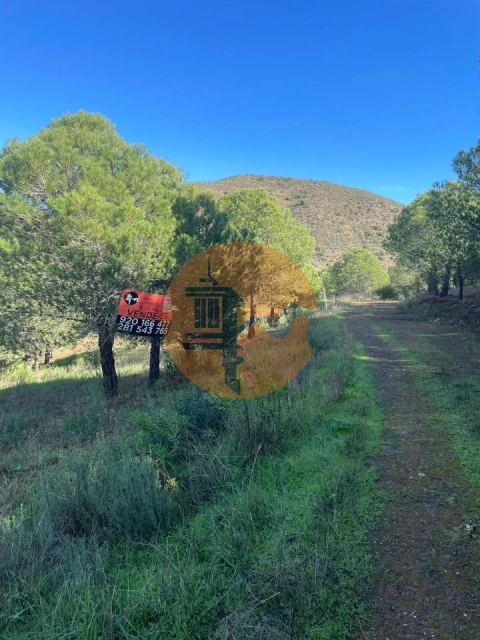 Terreno para Venda em Odeleite