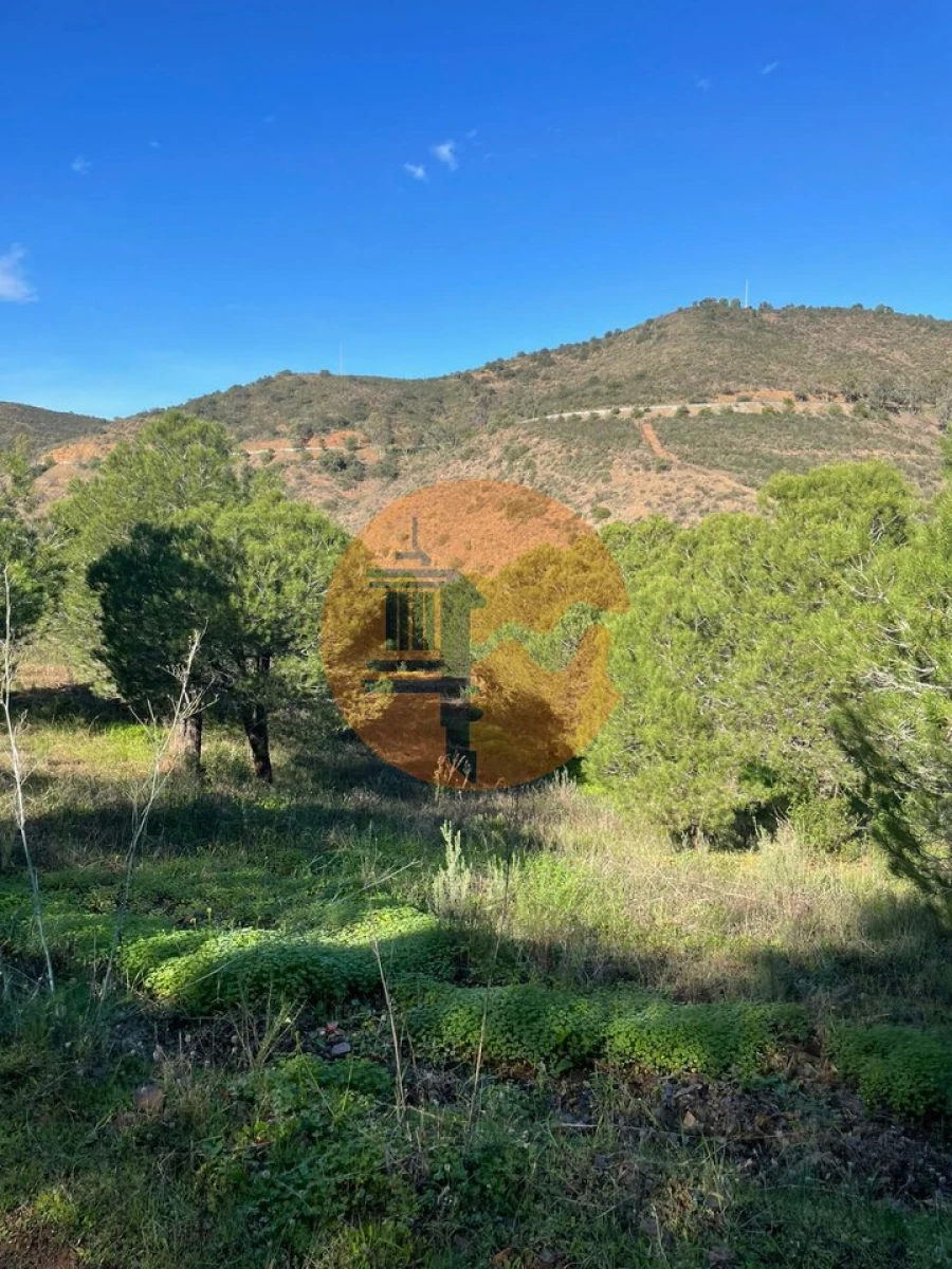 Terreno para Venda em Odeleite Foto 5
