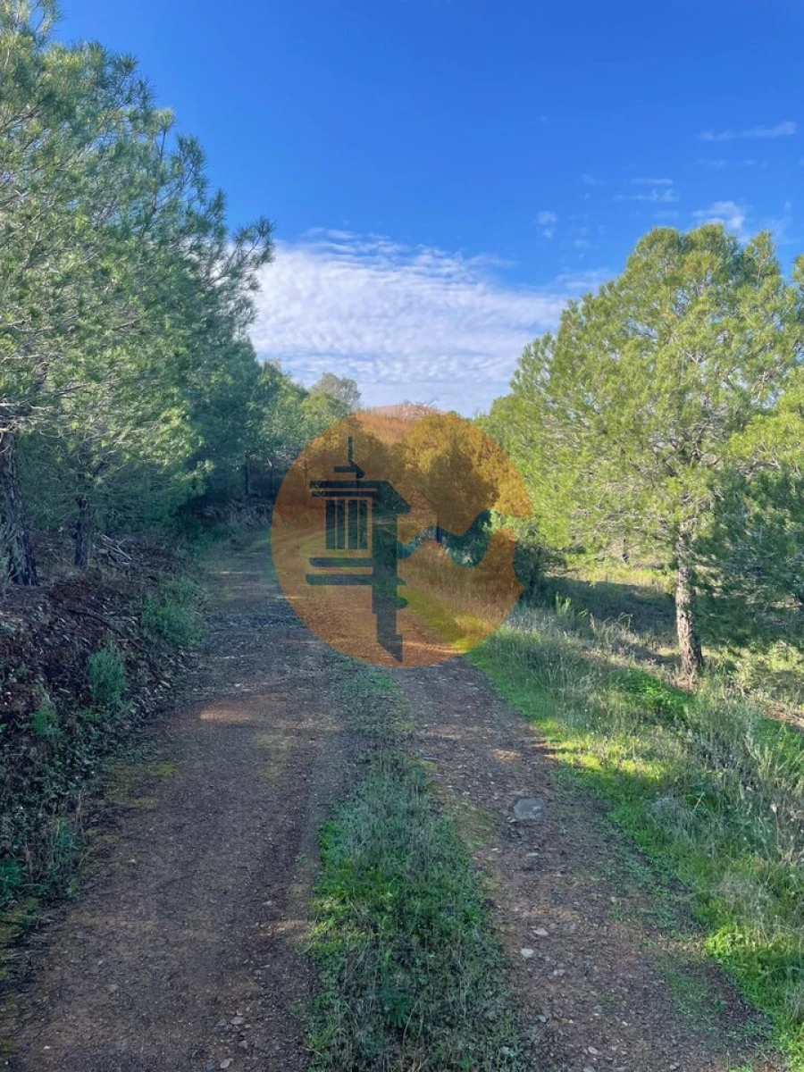 Terreno para Venda em Odeleite Foto 9
