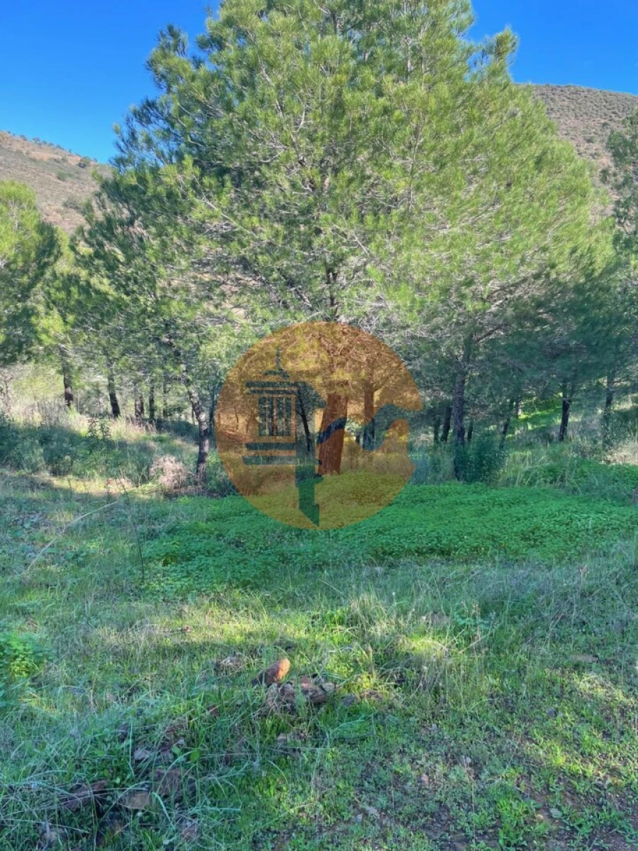 Terreno para Venda em Odeleite Foto 12