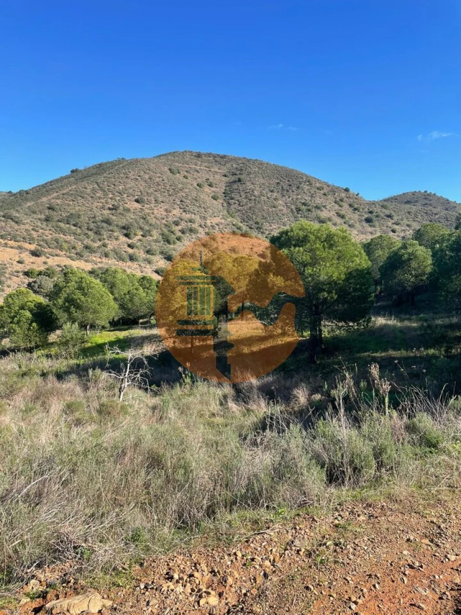 Terreno para Venda em Odeleite Foto 23