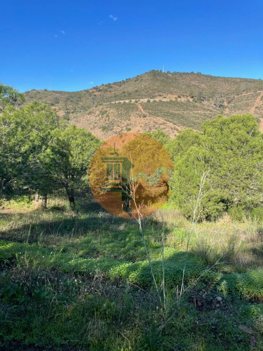 Terreno para Venda em Odeleite Foto 24