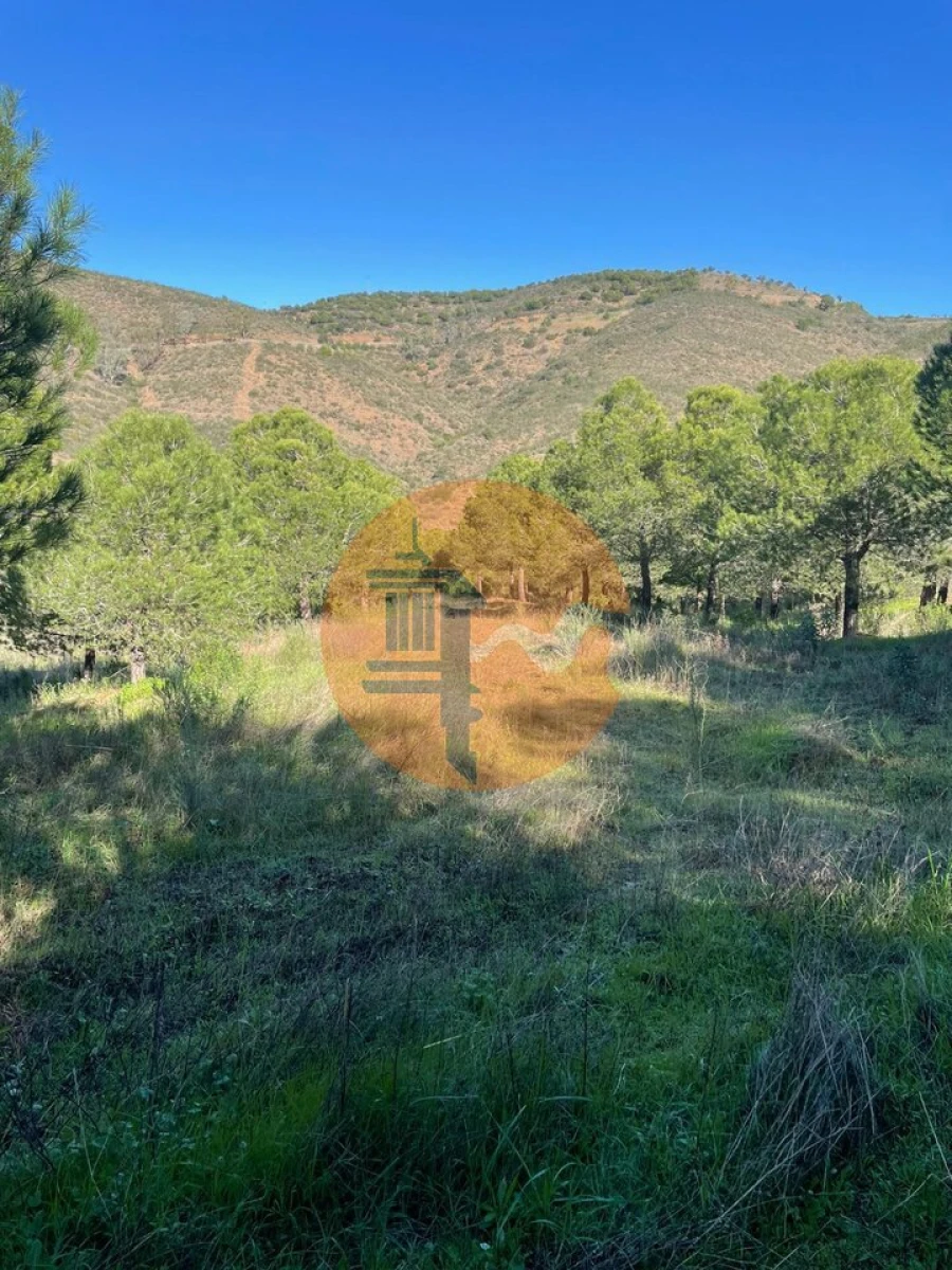 Terreno para Venda em Odeleite Foto 27