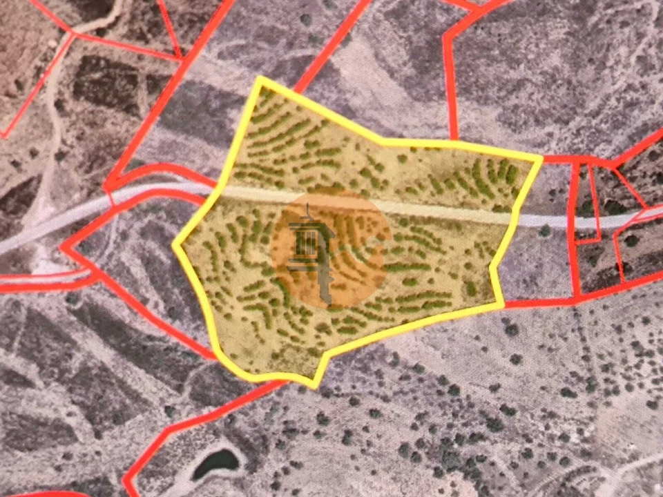 Terreno para Venda em Odeleite Foto 2