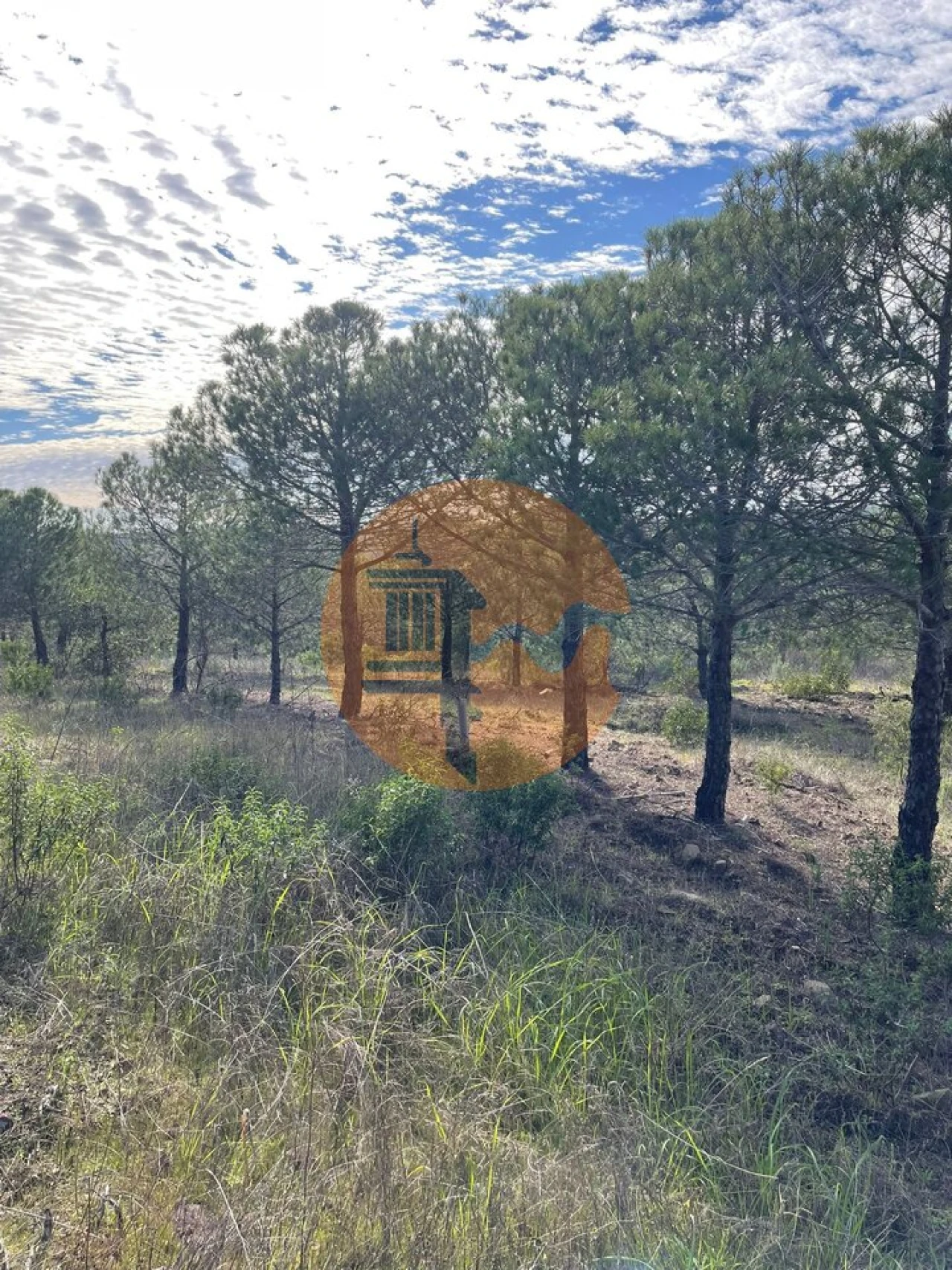 Terreno para Venda em Odeleite Foto 8