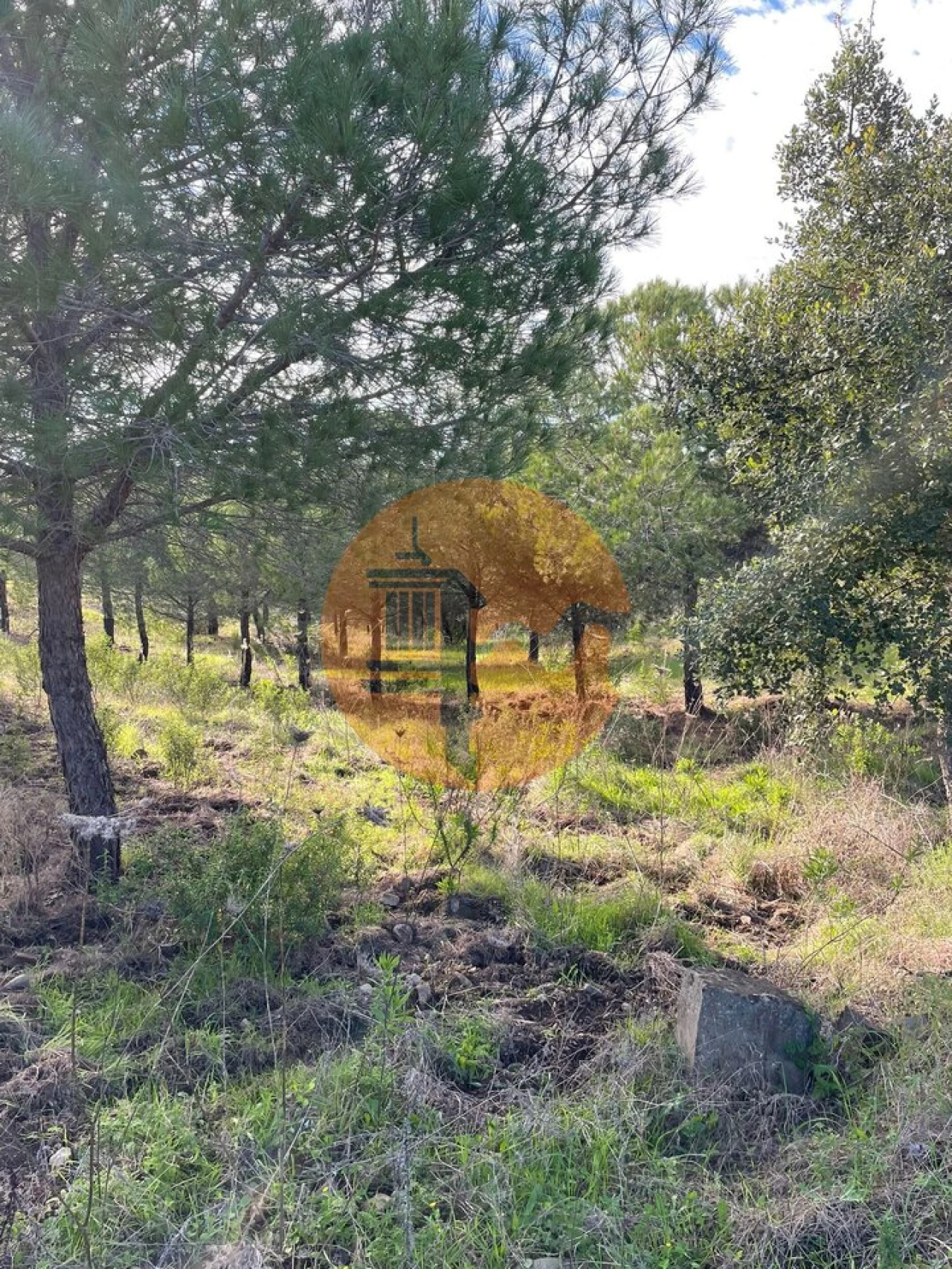 Terreno para Venda em Odeleite Foto 9