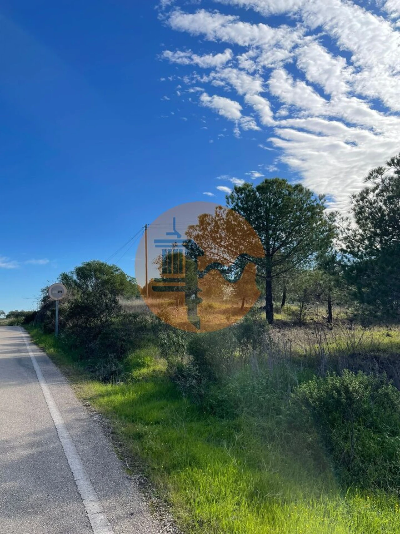 Terreno para Venda em Odeleite Foto 10