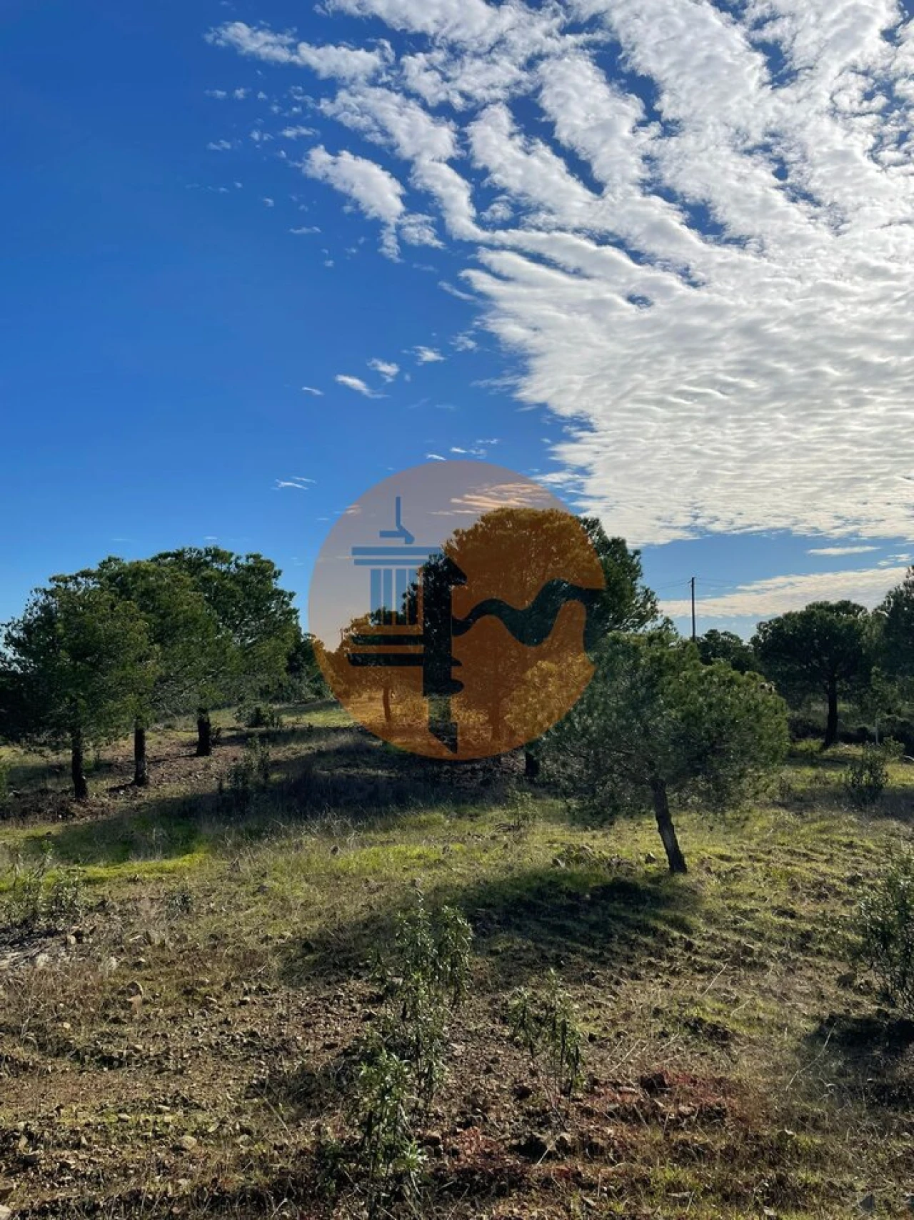Terreno para Venda em Odeleite Foto 5