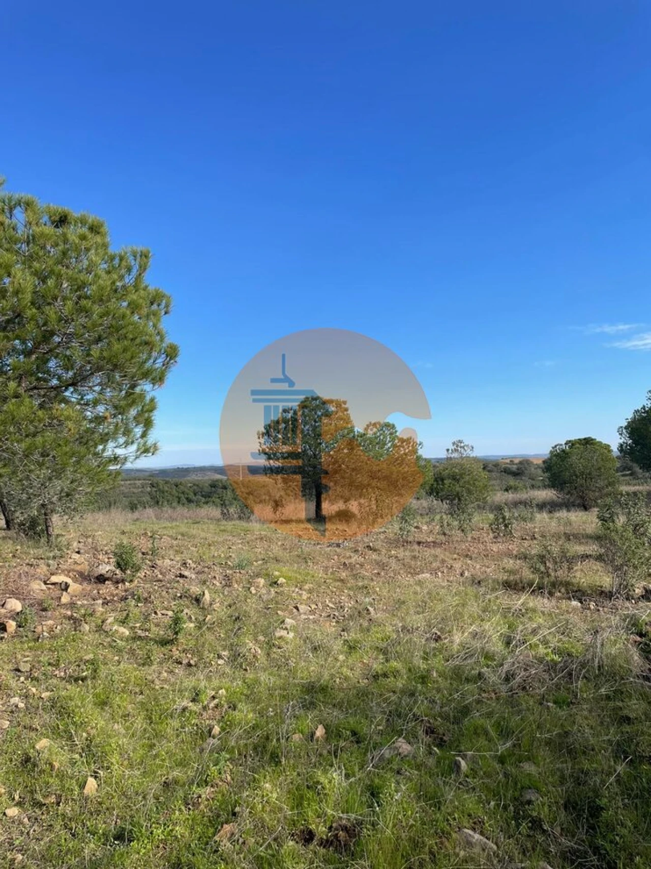 Terreno para Venda em Odeleite Foto 18