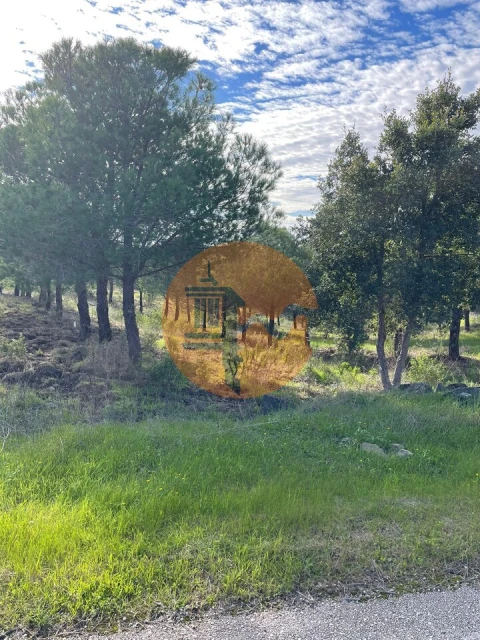 Terreno para Venda em Odeleite