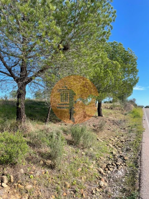 Terreno para Venda em Odeleite