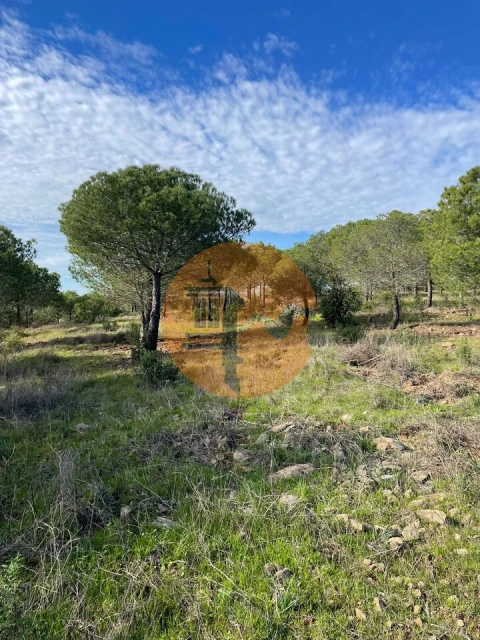 Terreno para Venda em Odeleite