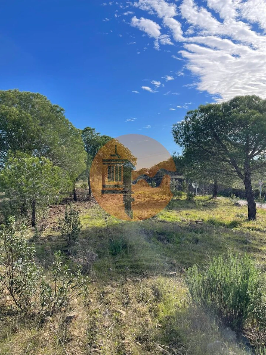Terreno para Venda em Odeleite Foto 12