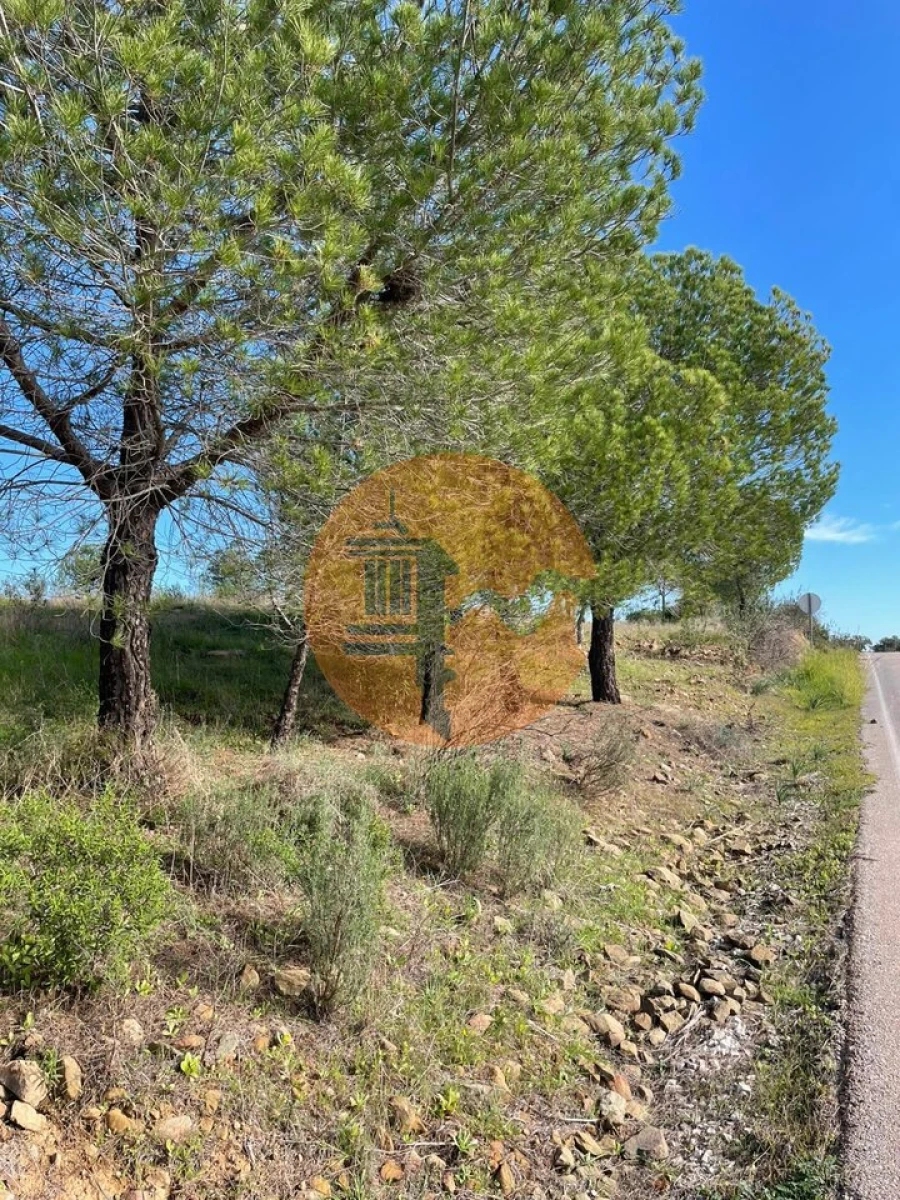 Terreno para Venda em Odeleite Foto 20