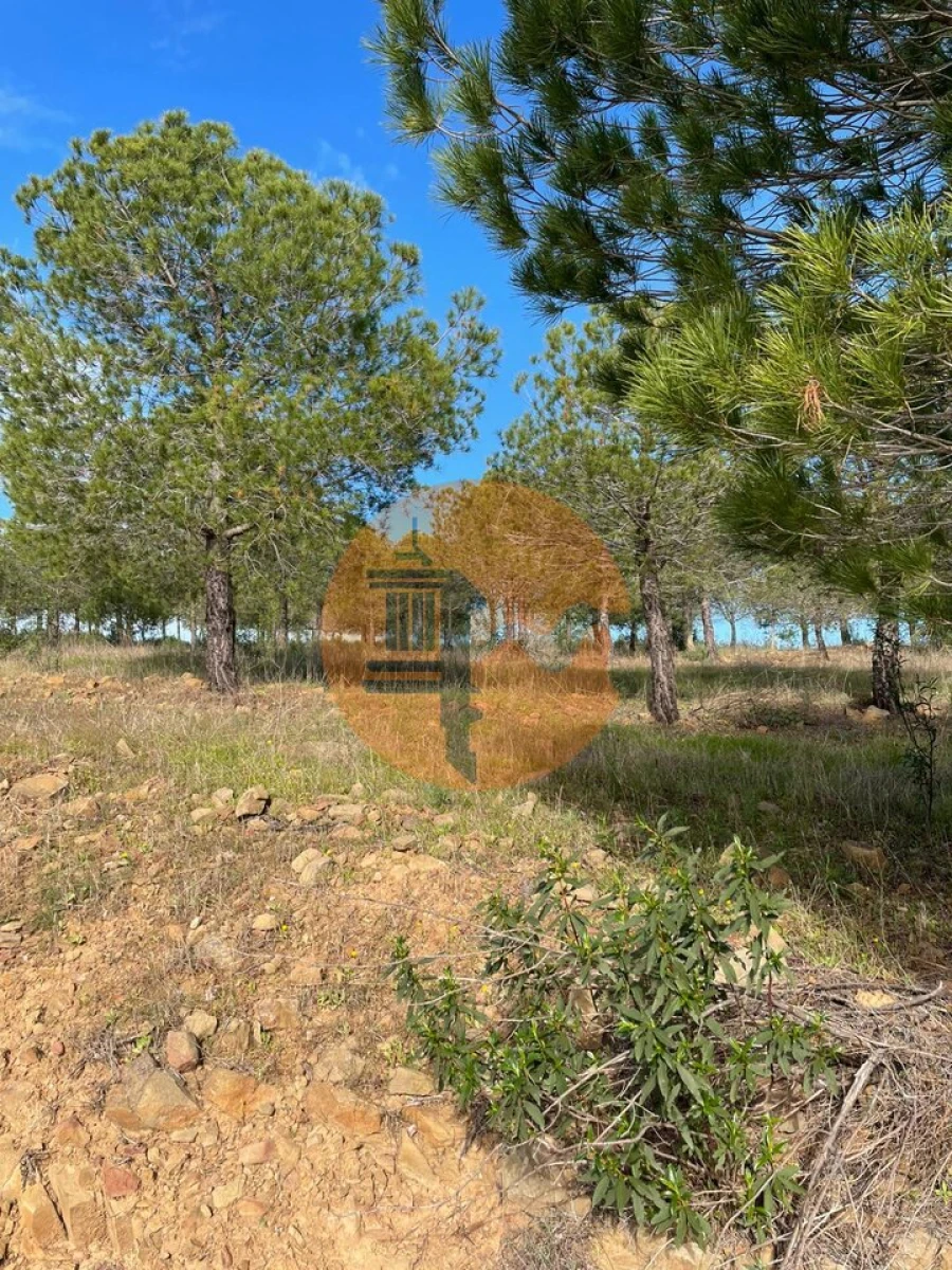 Terreno para Venda em Odeleite Foto 21