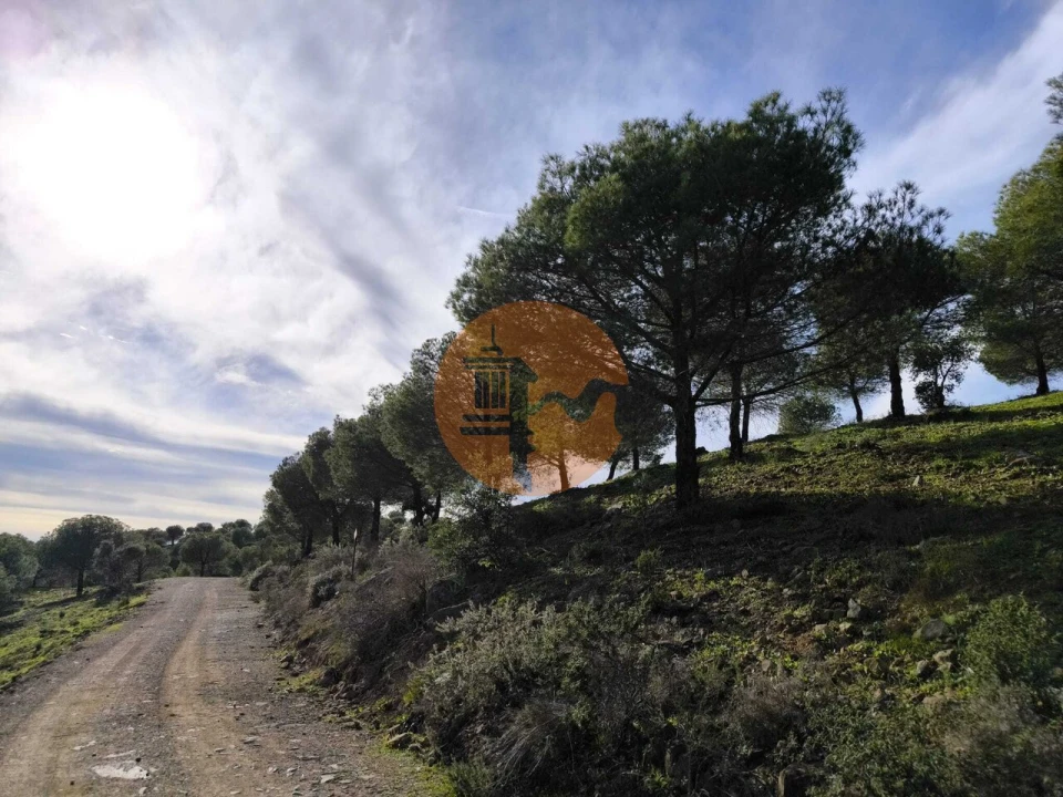 Terreno para Venda em Odeleite Foto 11