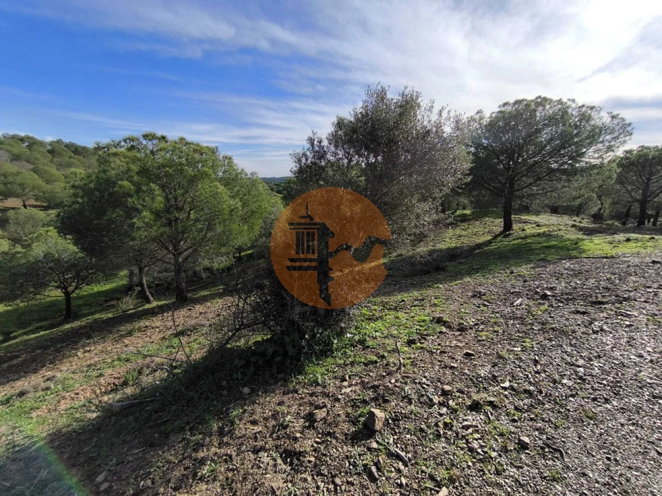 Terreno para Venda em Odeleite Foto 14