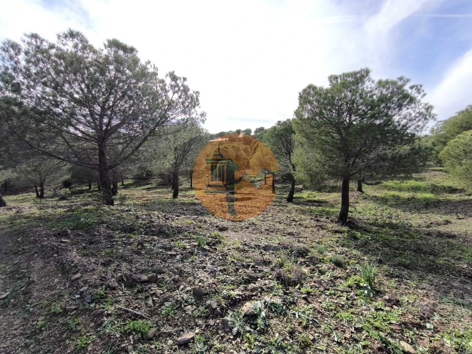 Terreno para Venda em Odeleite Foto 5
