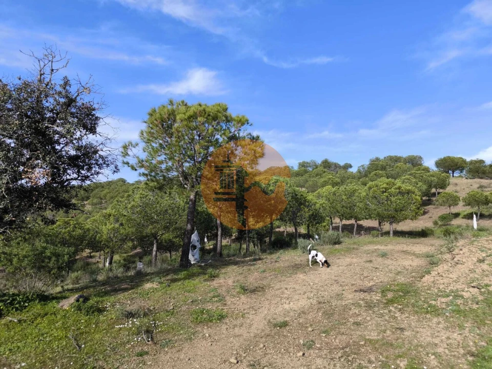 Terreno para Venda em Odeleite Foto 21