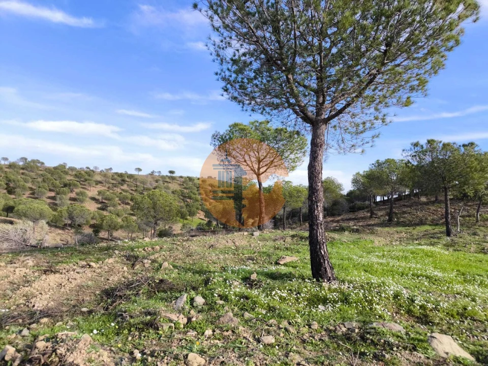 Terreno para Venda em Odeleite Foto 27