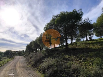 Terreno para Venda em Odeleite