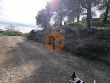 Terreno para Venda em Odeleite