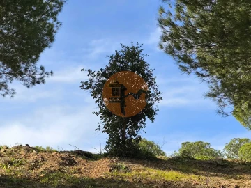 Terreno para Venda em Odeleite