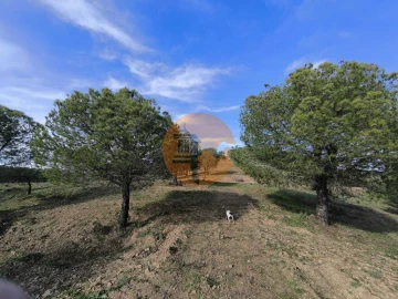 Terreno para Venda em Odeleite