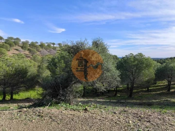 Terreno para Venda em Odeleite