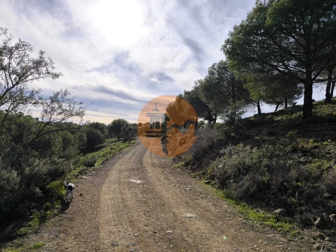 Terreno para Venda em Odeleite Foto 10