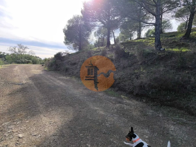 Terreno para Venda em Odeleite Foto 12
