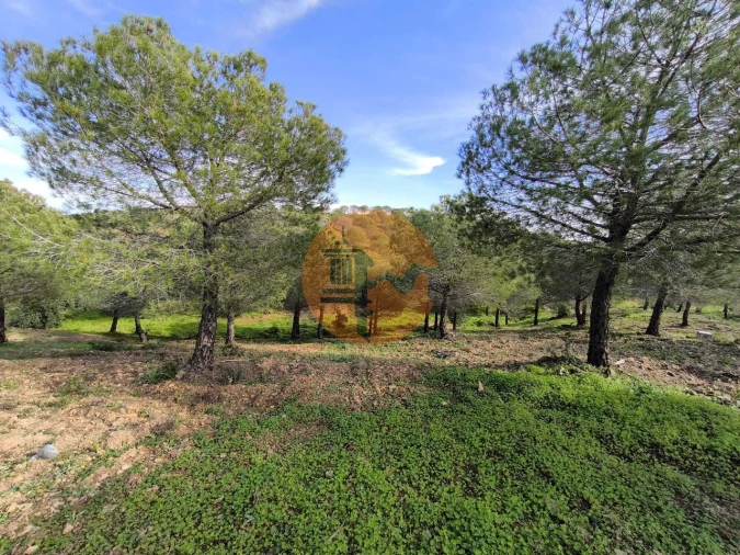 Terreno para Venda em Odeleite Foto 17