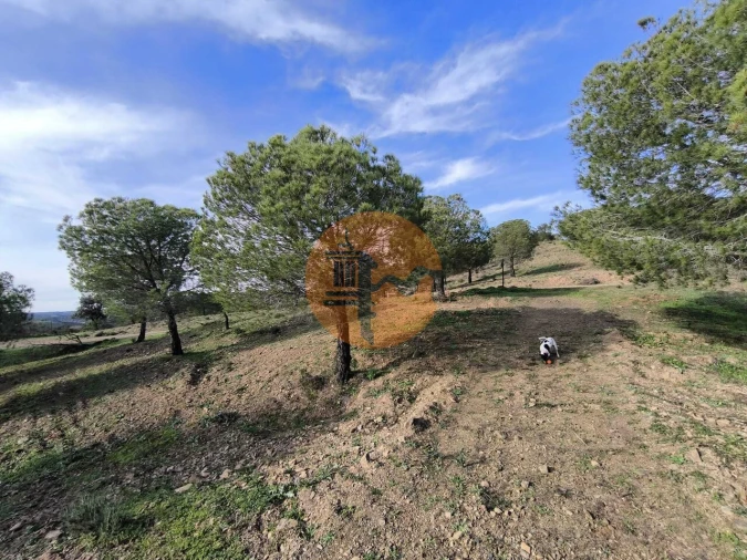 Terreno para Venda em Odeleite Foto 20