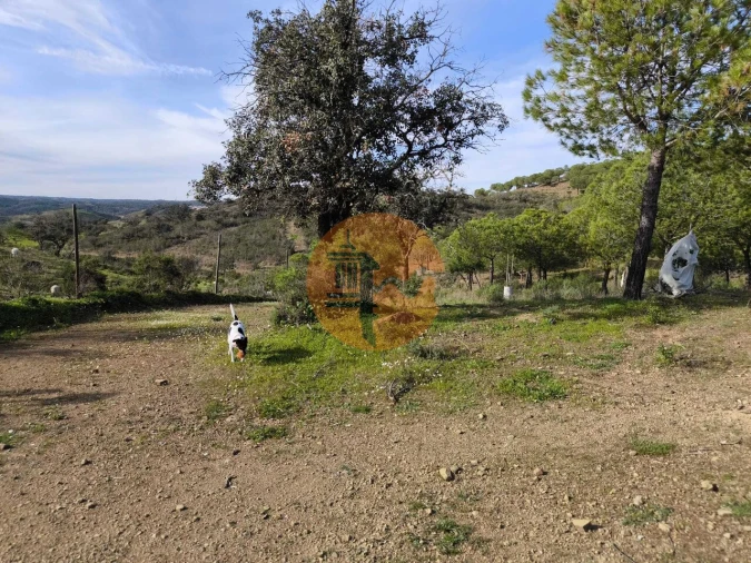Terreno para Venda em Odeleite Foto 22