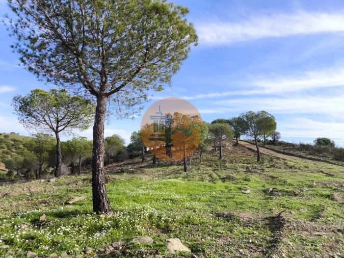 Terreno para Venda em Odeleite Foto 26