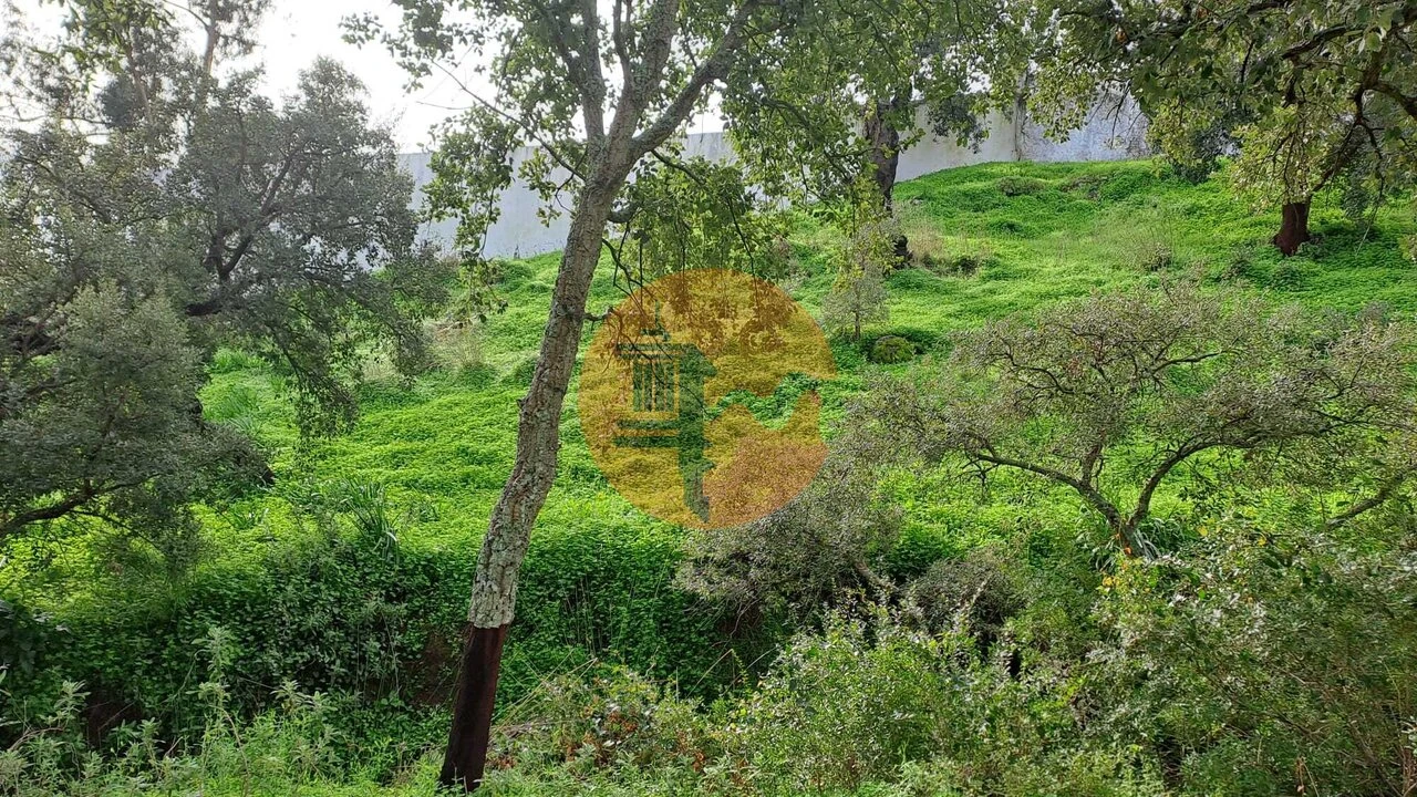 Terreno para Venda em Santa Catarina da Fonte do Bispo Foto 8