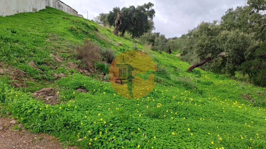 Terreno para Venda em Santa Catarina da Fonte do Bispo Foto 2