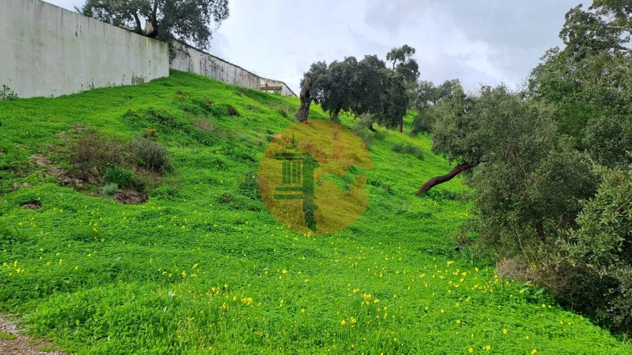 Terreno para Venda em Santa Catarina da Fonte do Bispo Foto 4