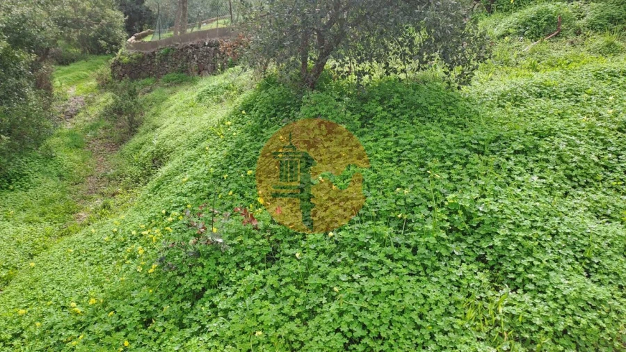 Terreno para Venda em Santa Catarina da Fonte do Bispo Foto 5