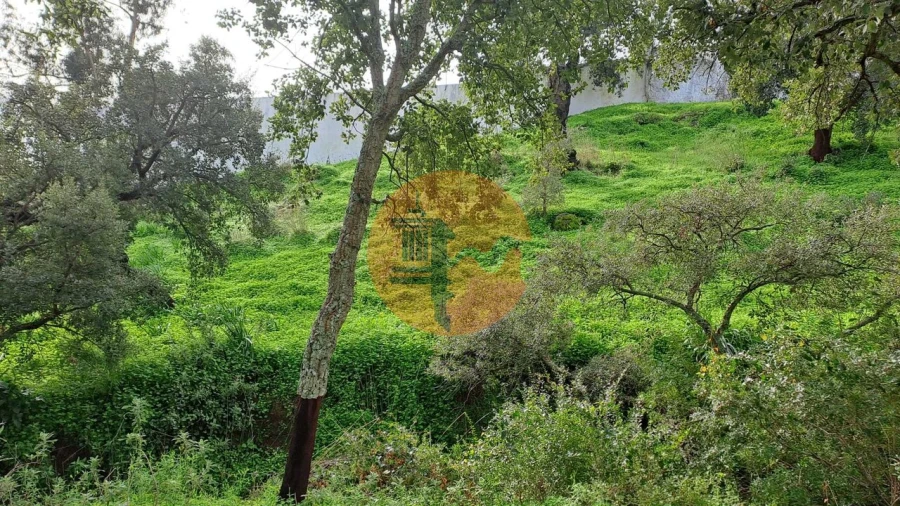 Terreno para Venda em Santa Catarina da Fonte do Bispo Foto 8
